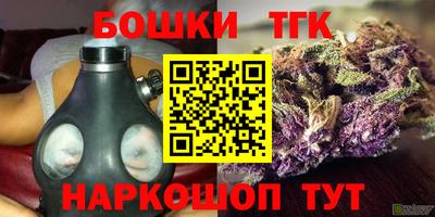 хмурый Заводоуковск