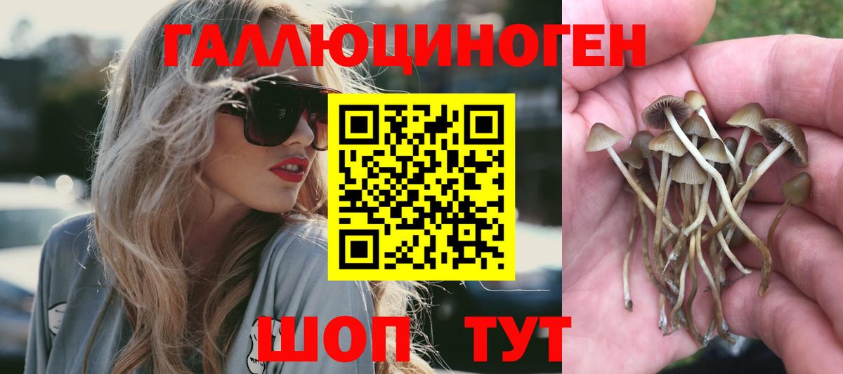 Псилоцибиновые грибы MAGIC MUSHROOMS  Вход с VPN  купить закладку  Джанкой  Галлюциногенные грибы Cubensis 